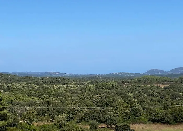 Mini En Vue Panoramique *